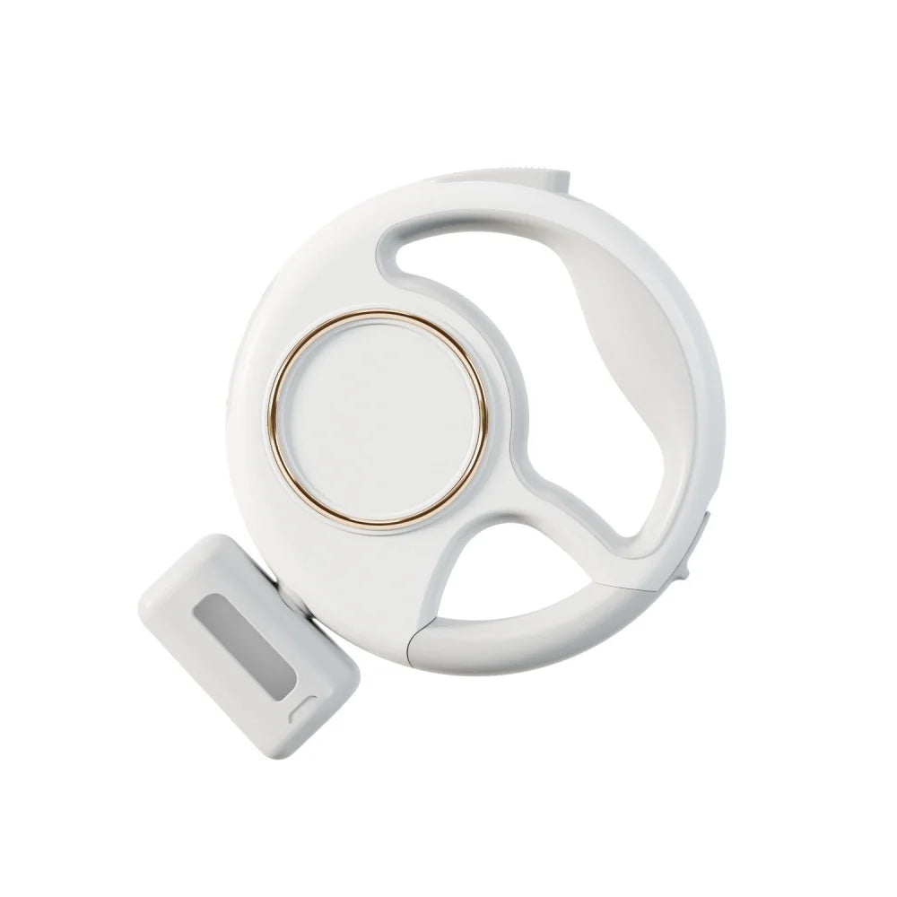 Dog Walking Light Leash