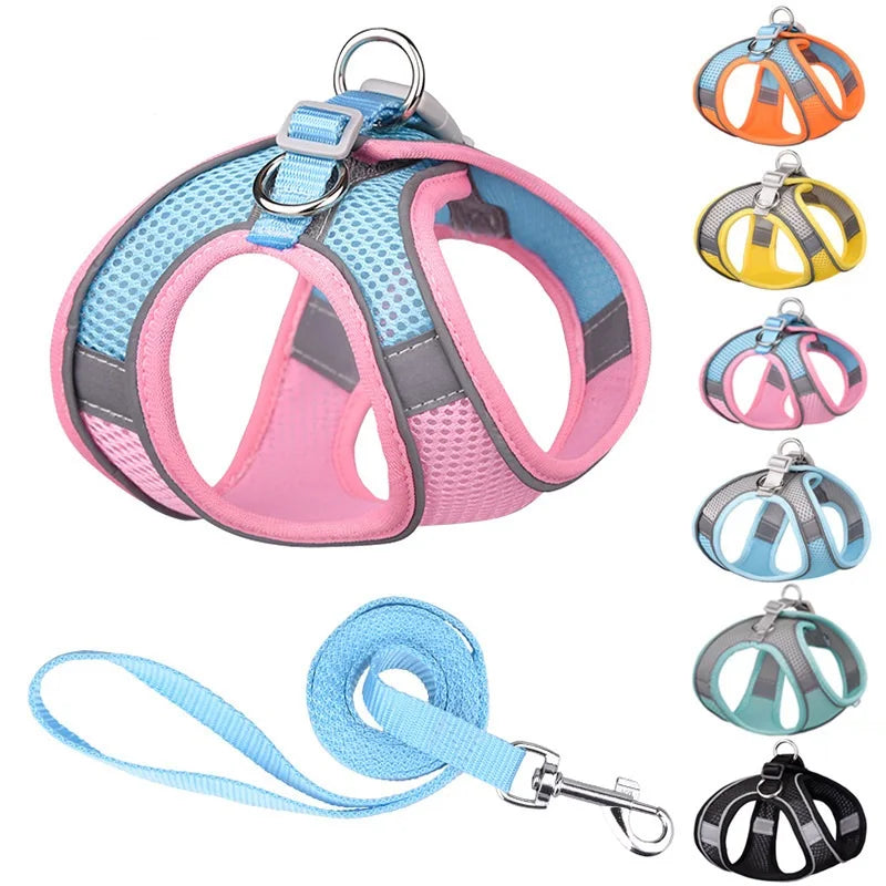 Leash Vest