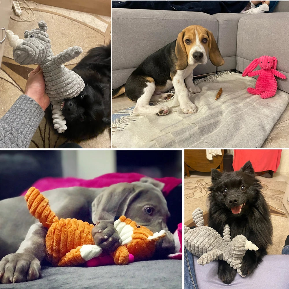 Chew Buddy
