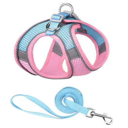Leash Vest