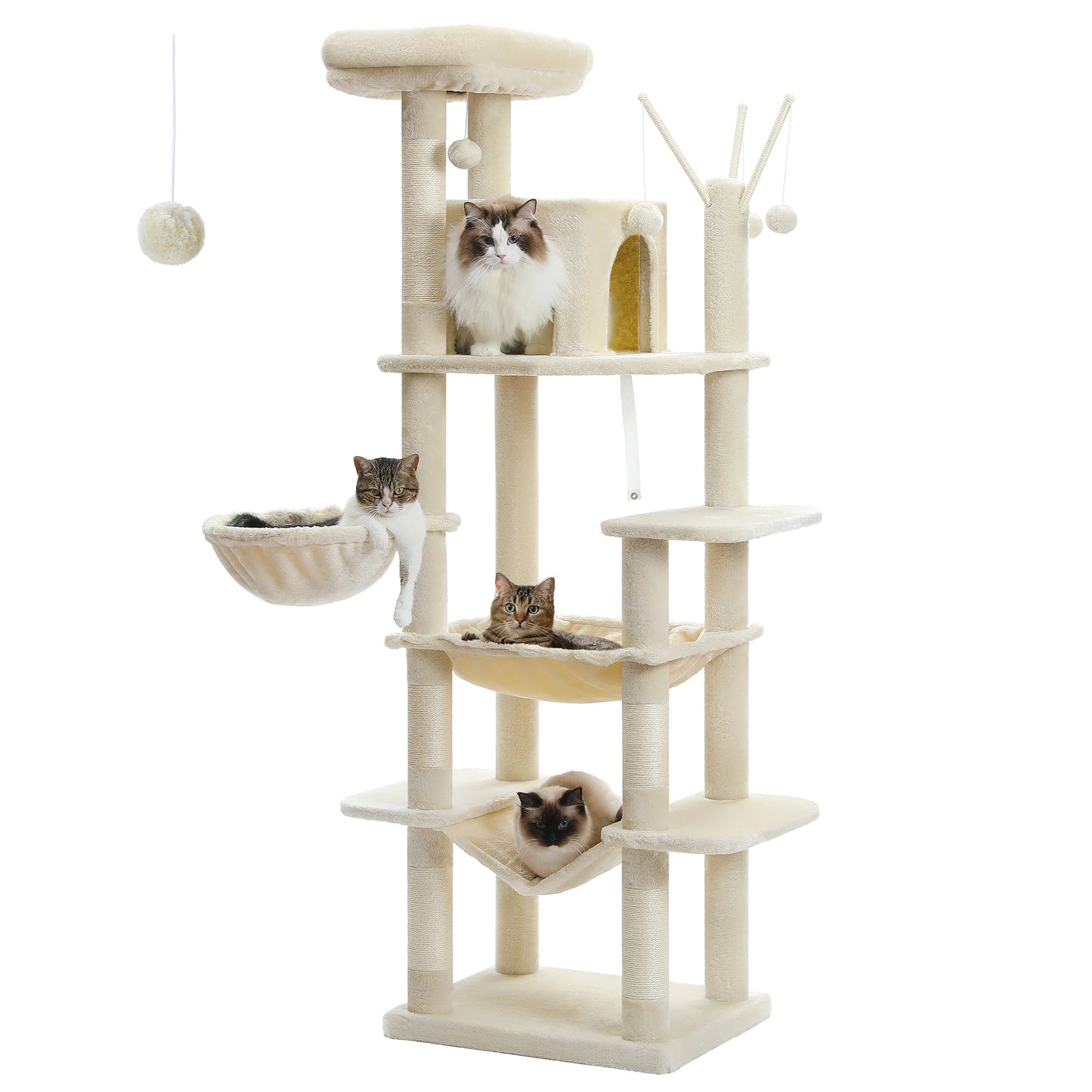 Multi-Level Cat Tree