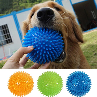 Squeaky Chew Ball