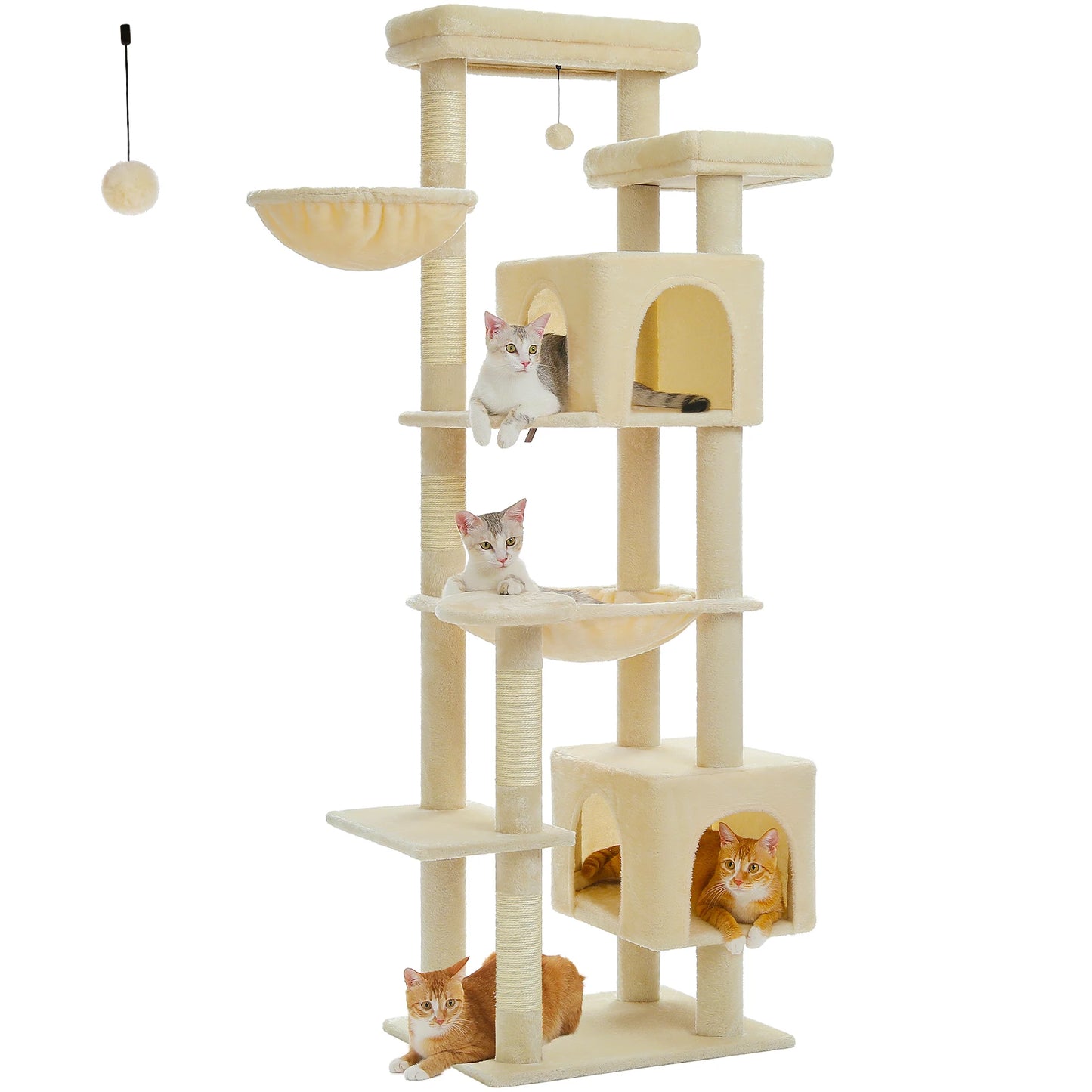 Multi-Level Cat Tree