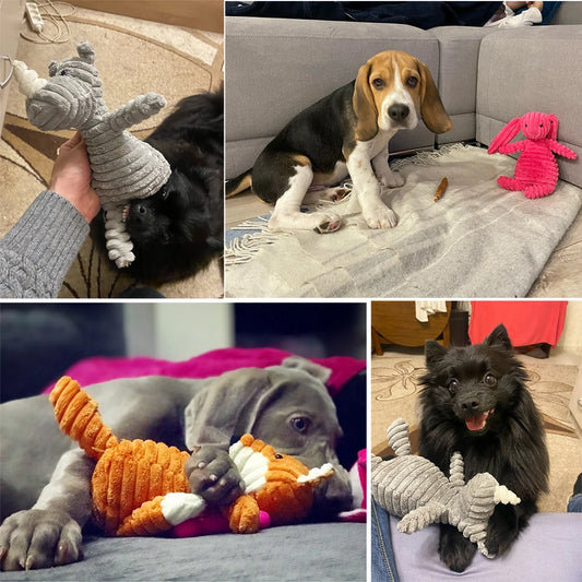 Chew Buddy